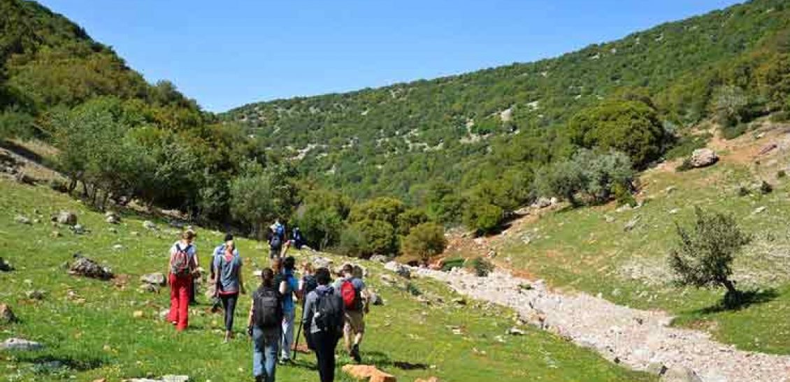 Jordanische Kultur und authentische Erlebnisse & Aktivitäten in Ajloun